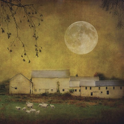 Framed Sheep Under a Harvest Moon Print