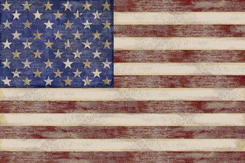 Framed U.S. Flag Print