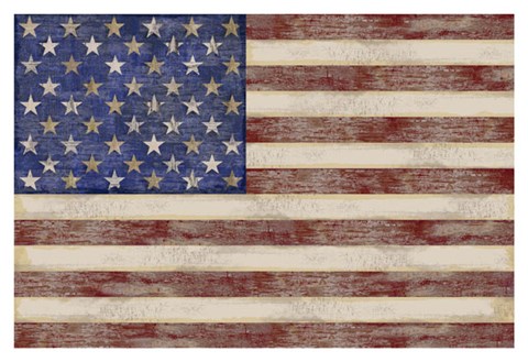 Framed U.S. Flag Print