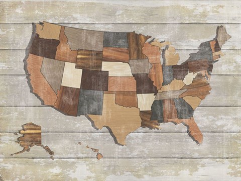 Framed Wood Map Print