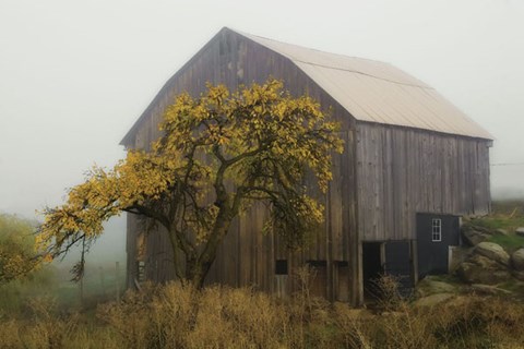 Framed Golden Promises Print