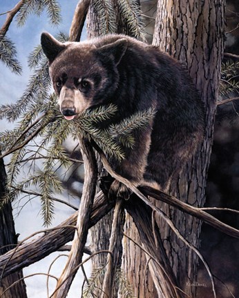 Framed Out on a Limb Print