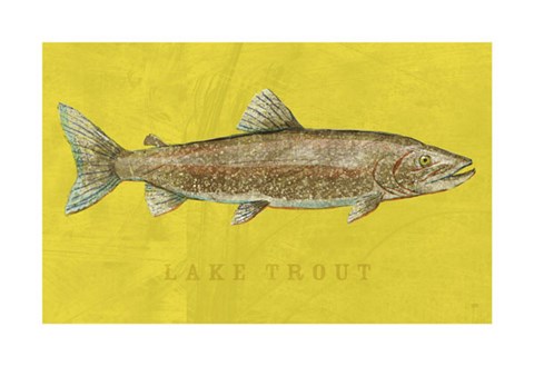Framed Lake Trout Print