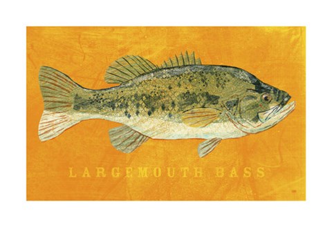 Framed Largemouth Bass Print