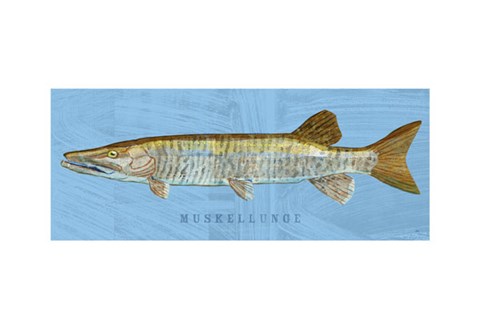 Framed Muskellunge Print