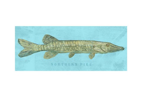 Framed Northern Pike Print