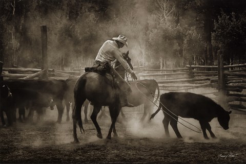 Framed Branding at Lost Canyon Print