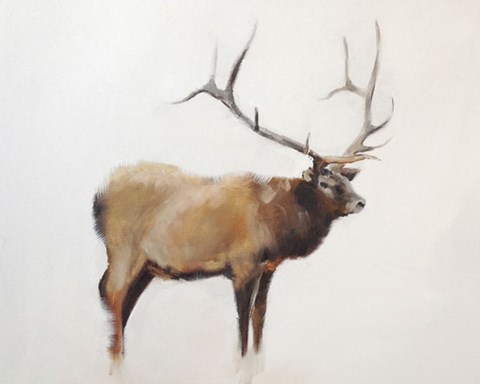 Framed Elk Print