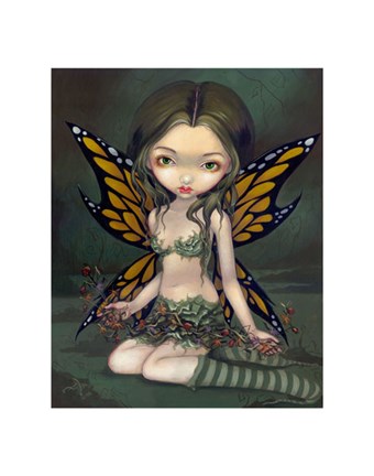 Framed Fairy with Dried Flowers Print