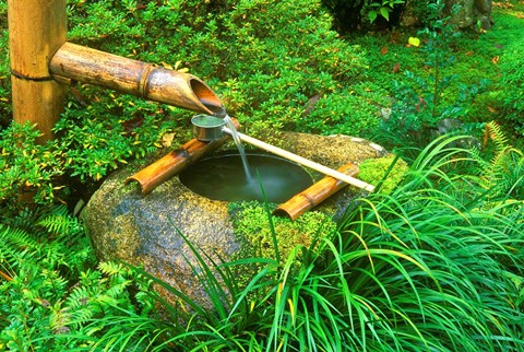 Framed Spring for Tea Ceremony, Sanzen-in Temple, Kyoto, Japan Print