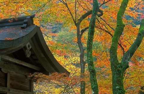 Framed Kibune Shrine, Kyoto, Japan Print