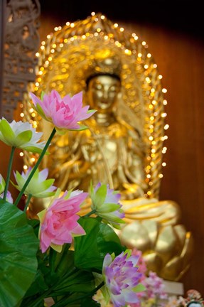 Framed Pink lotus flowers in front of gold statue, Kek Lok Si Temple, Island of Penang, Malaysia Print