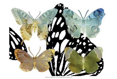 Framed Layered Butterflies IV Print