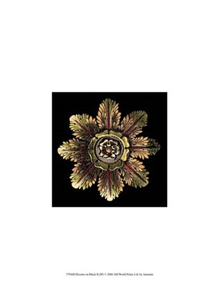 Framed Rosette on Black II Print