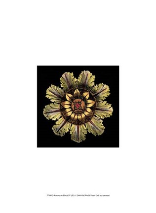 Framed Rosette on Black IV Print