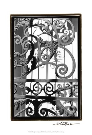 Framed Wrought Iron Elegance II Print