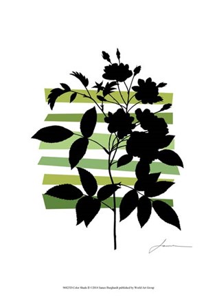 Framed Color Shade II Print