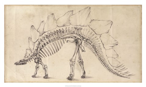 Framed Dinosaur Study III Print