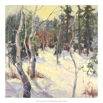 Framed Four Seasons Aspens IV Print