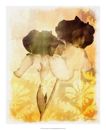 Framed Brocade Garden IV Print