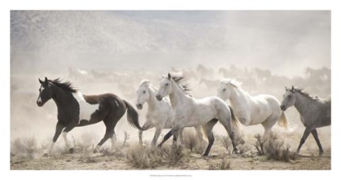 Framed Open Range Print
