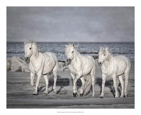 Framed Morning Run Print