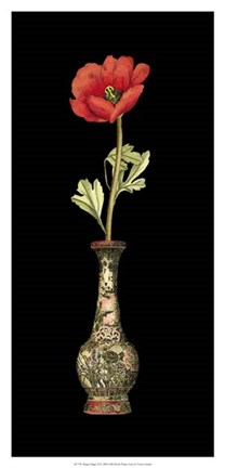 Framed Poppy Magic II Print