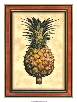 Framed Pineapple Splendor I Print
