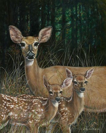 Framed On Alert Print