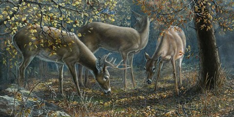 Framed Morning Chatter Print