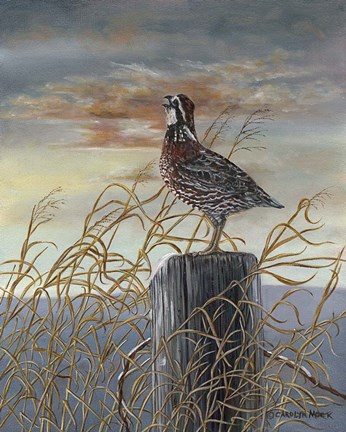 Framed Quail on a Post Print