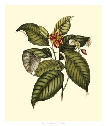 Framed Magnificent Foliage IV Print