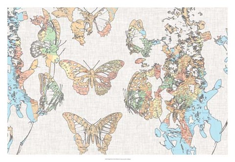 Framed Flight Plan II Print