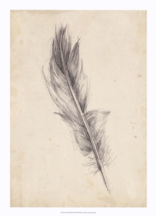 Framed Feather Sketch IV Print