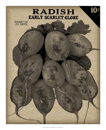 Framed Vintage Seed Pack I Print