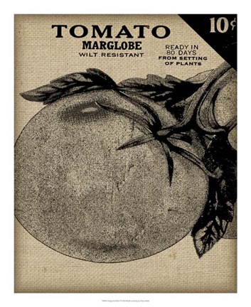 Framed Vintage Seed Pack V Print