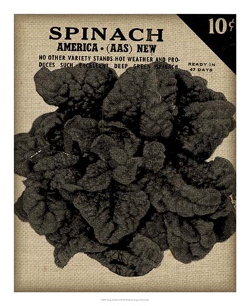 Framed Vintage Seed Pack VI Print