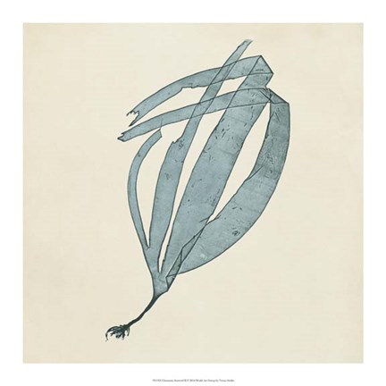 Framed Chromatic Seaweed II Print