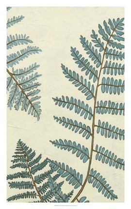 Framed Blue Fern Trio III Print