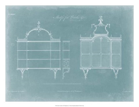 Framed Shelves for Books Print