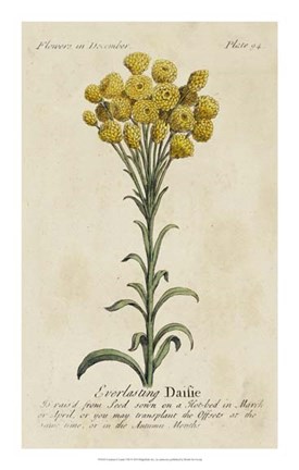 Framed Gardener's Guide VIII Print