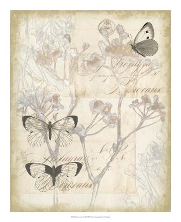 Framed Sunset Lace I Print