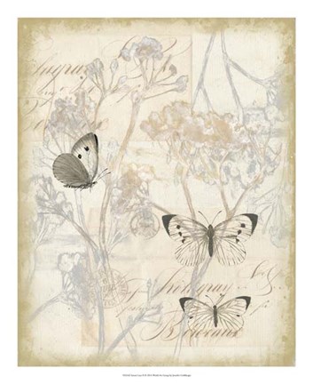 Framed Sunset Lace II Print