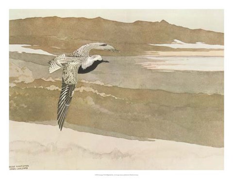 Framed Soaring Print