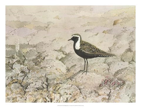 Framed Perched Print