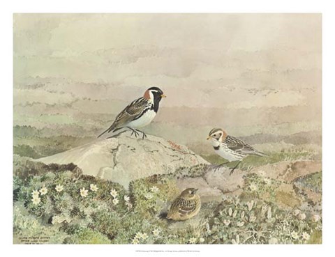 Framed Gathering Print