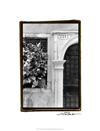 Framed Venetian Doorways IV Print