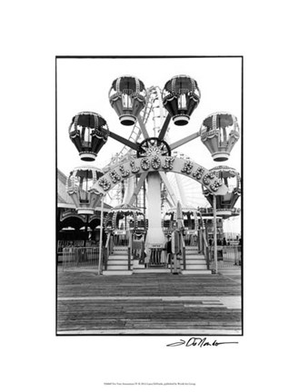 Framed For Your Amusement IV Print