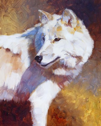 Framed White Wolf Print