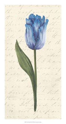 Framed Twin Tulips III Print